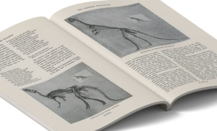 Open book displaying illustrations and text about dinosaur skeletons, featuring detailed descriptions and diagrams.