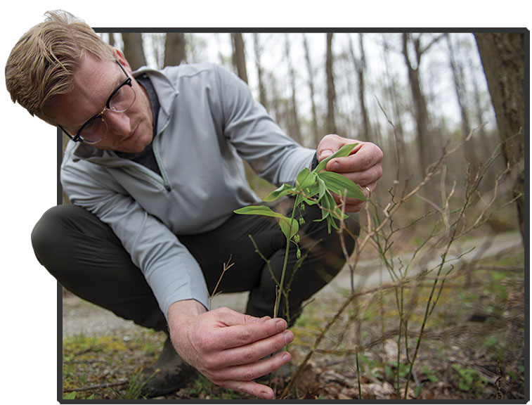 A person crouches down in a wooded area, examining green leaves sprouting from a small plant near the ground.
