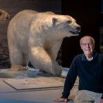 A man sits beside a lifelike polar bear exhibit in a museum. The backdrop features another bear image, creating a harmonious, contemplative atmosphere.