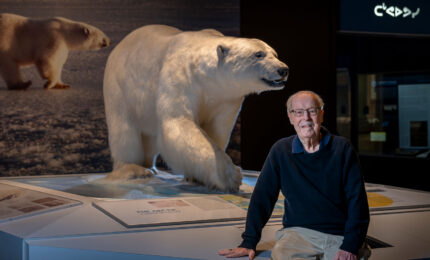 A man sits beside a lifelike polar bear exhibit in a museum. The backdrop features another bear image, creating a harmonious, contemplative atmosphere.
