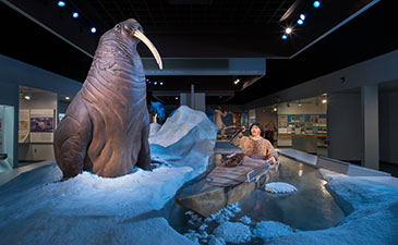 Museum exhibit depicting a large walrus on ice beside a mannequin in traditional attire paddling a kayak in icy waters, illuminated by blue lighting.