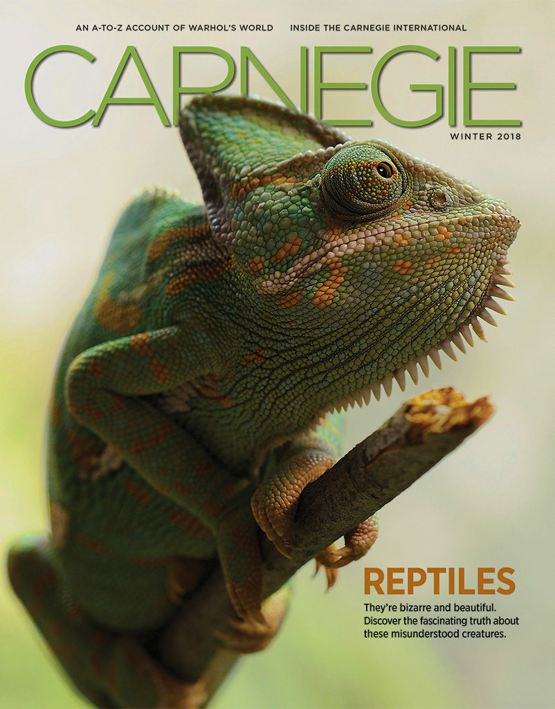Cover of the Winter 2018 Carnegie Magazine with a large green chameleon..