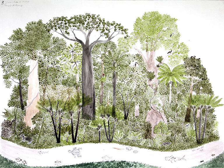 A drawing of a forest with trees and small animals.