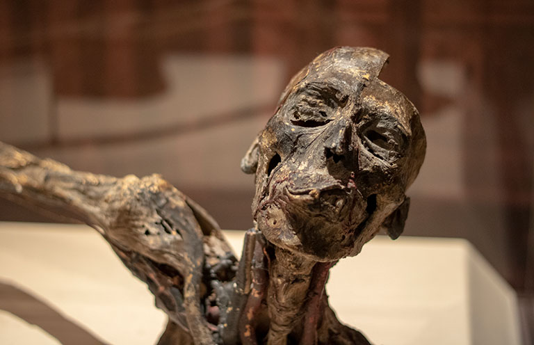 A mummified upper torso of a man.