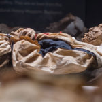 Profile view of a mummified women in period dress.