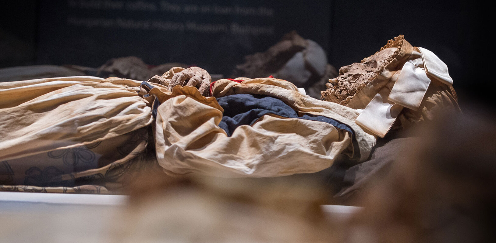 Profile view of a mummified women in period dress.