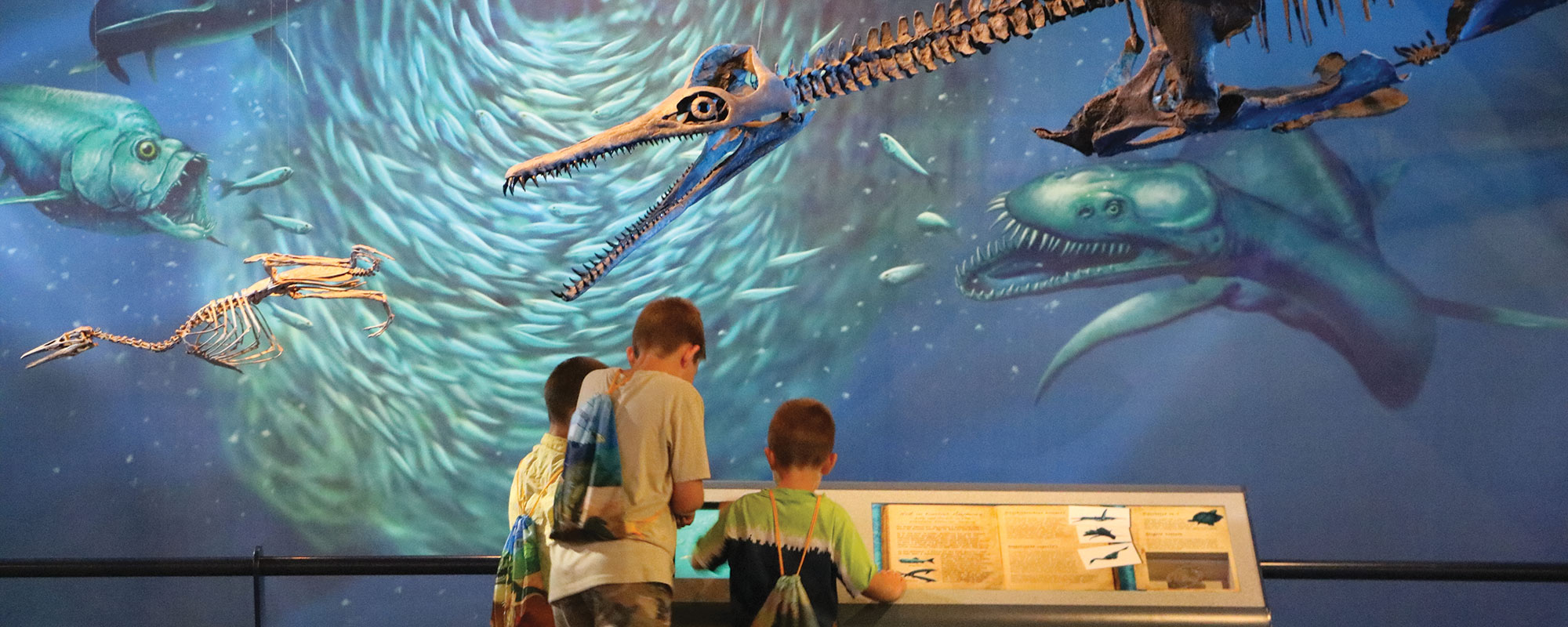 Three young boys looking at a diarama of an ancient seaway