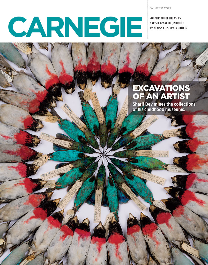Cover of Winter 2021 issue of Carnegie Magazine