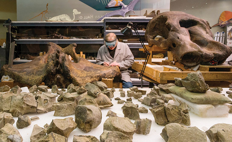 Man working on fossils in a lab