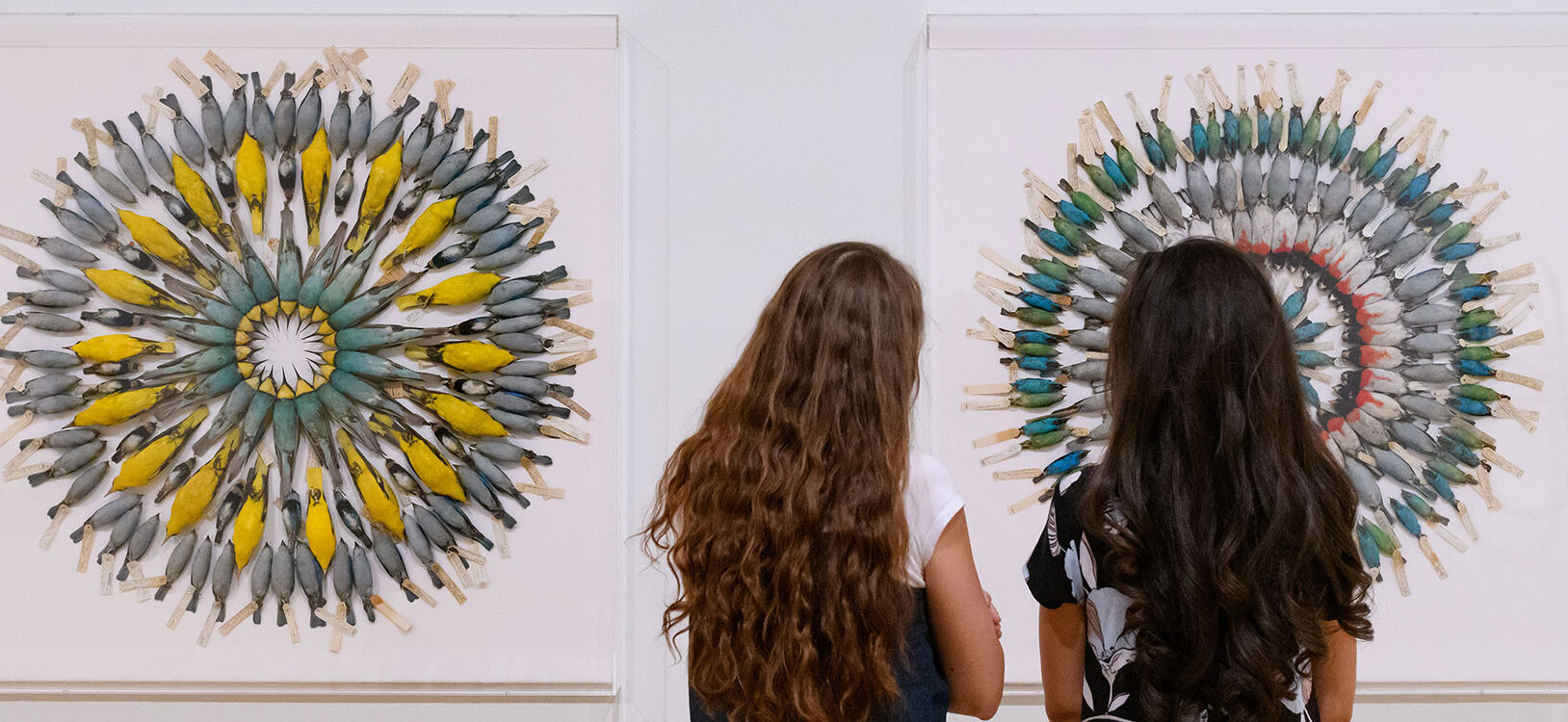 @ young women looking at a museum installatio of birds set in large circular formation