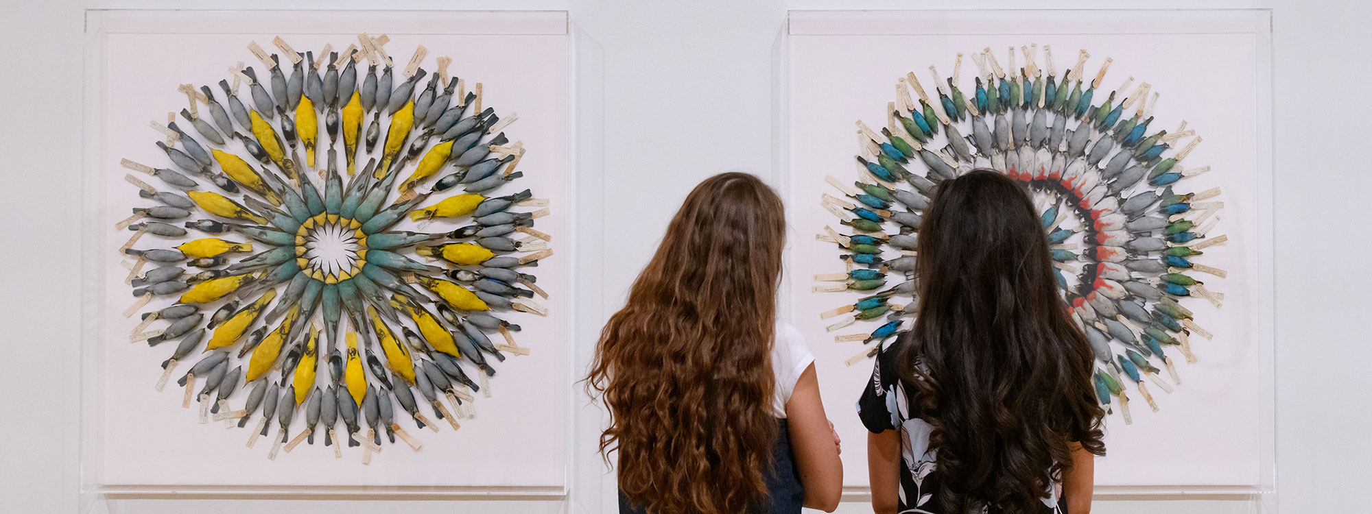 @ young women looking at a museum installatio of birds set in large circular formation