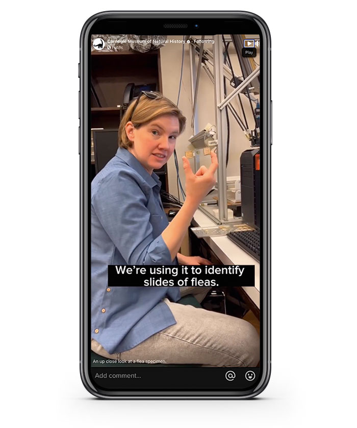 An iphone video with A woman in a blue shirt sits in a lab, gesturing while explaining the use of equipment to identify flea slides.