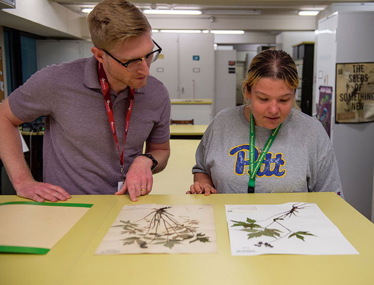 Two individuals examine pressed plant specimens on a table, discussing their details in a bright, indoor space.