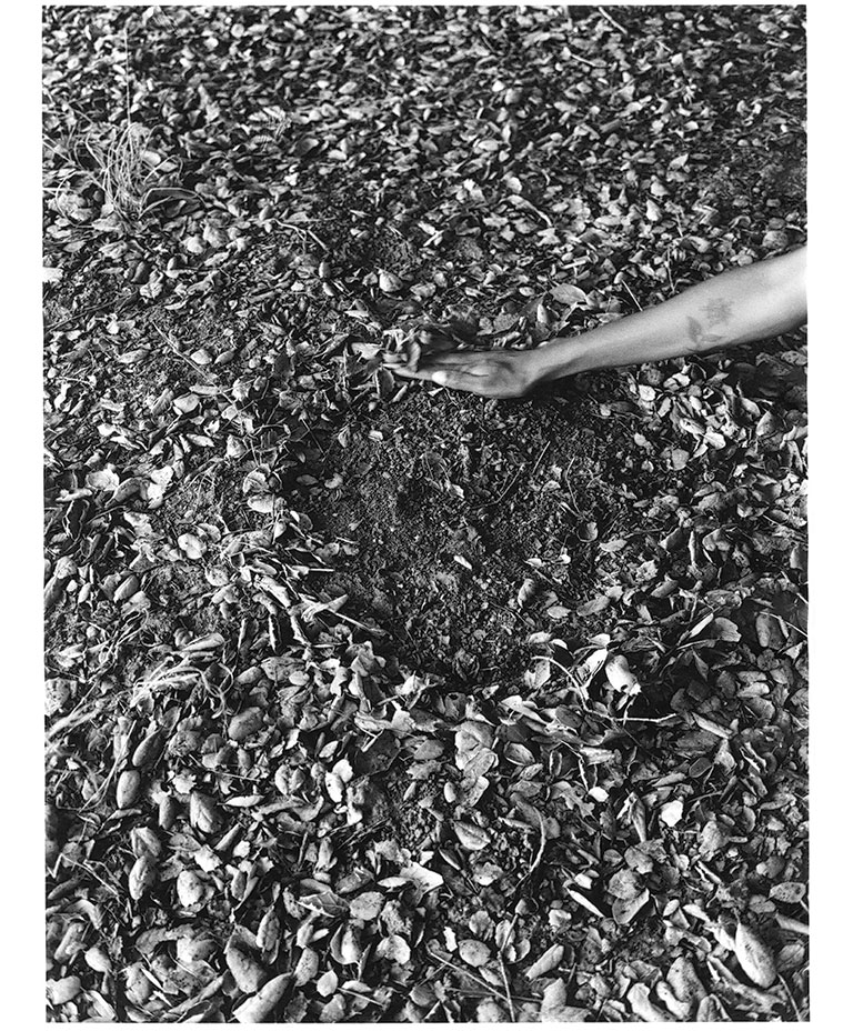 A hand presses down on a sunken area of dark soil surrounded by scattered leaves and small twigs in black and white.