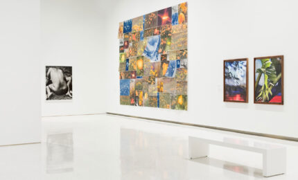 A bright art gallery featuring diverse artworks on white walls, including abstract and nature-themed pieces.