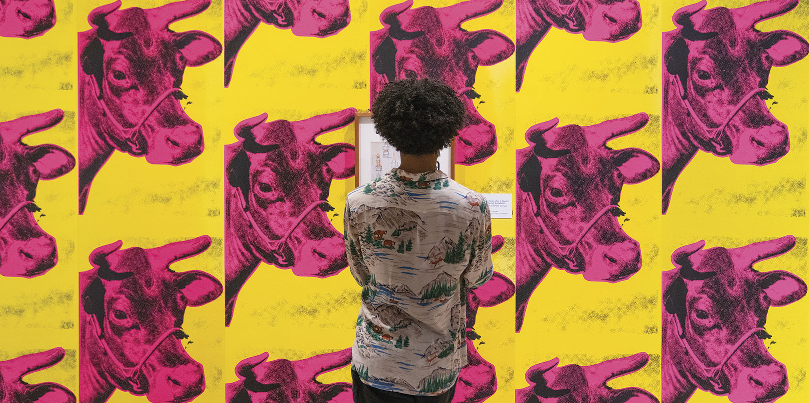 A person with curly hair, wearing a patterned shirt, observes a vibrant art piece of pink cow heads against a bright yellow background, evoking curiosity.