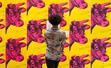A person with curly hair, wearing a patterned shirt, observes a vibrant art piece of pink cow heads against a bright yellow background, evoking curiosity.
