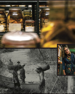 A collage shows jars with specimens, two women examining a large fossil, a person handling a small sample, and historical black-and-white images of fieldwork.