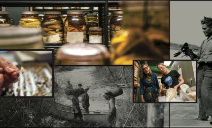 A collage shows jars with specimens, two women examining a large fossil, a person handling a small sample, and historical black-and-white images of fieldwork.