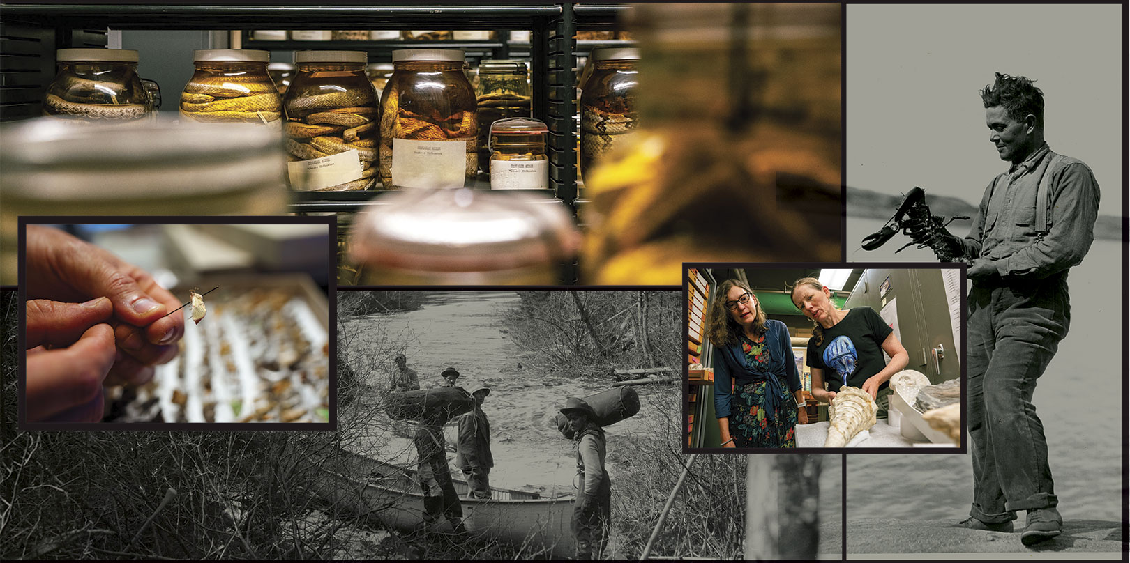 A collage shows jars with specimens, two women examining a large fossil, a person handling a small sample, and historical black-and-white images of fieldwork.